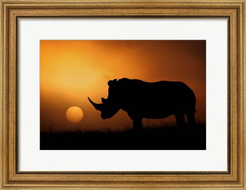 Framed Rhino Sunrise Print