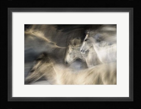 Framed In Motion Print