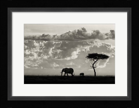 Framed Silhouettes Of Mara Print