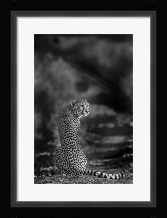 Framed Look Back Print