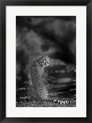 Framed Look Back Print