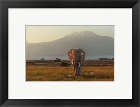 Framed Under The Roof Of Africa Print
