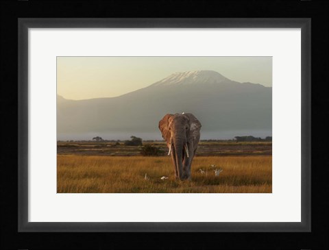 Framed Under The Roof Of Africa Print