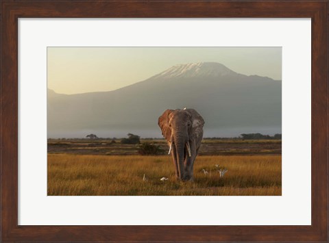 Framed Under The Roof Of Africa Print