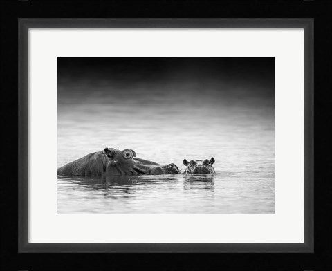 Framed Eye Level Print