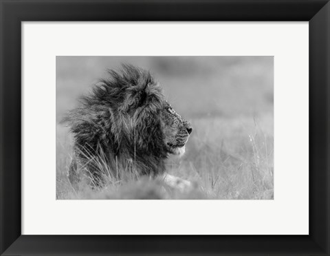 Framed King Is Alone Print