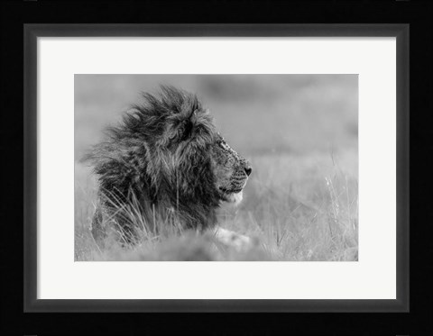 Framed King Is Alone Print