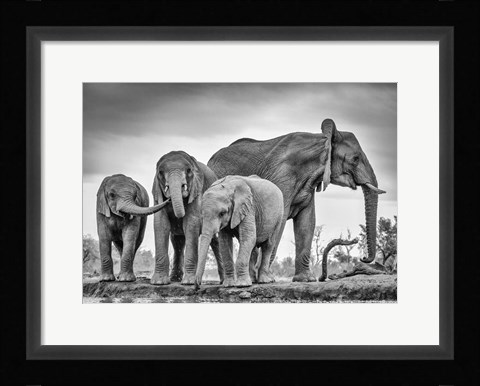 Framed Giant Unity Print