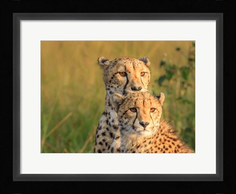 Framed Double Team Print