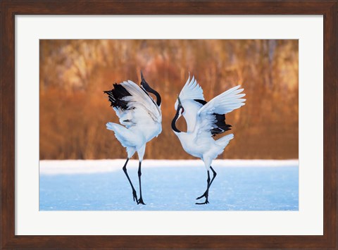 Framed Dance Of Love Print