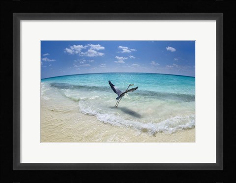 Framed Take-Off Print