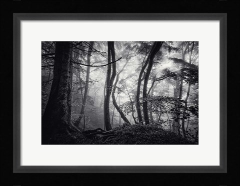 Framed Mysterious Light Print