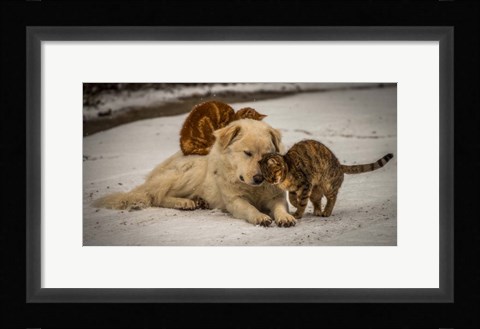 Framed Sweet Effusions Print