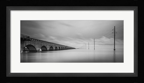 Framed Birds Talking Print