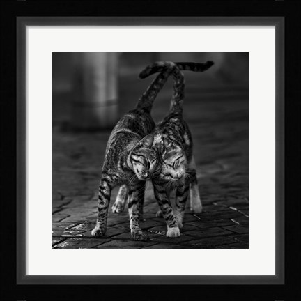 Framed Untitled Print