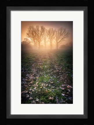 Framed Misty Morning Print