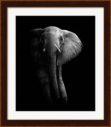 Framed Elephant! Print