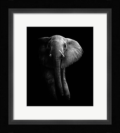 Framed Elephant! Print