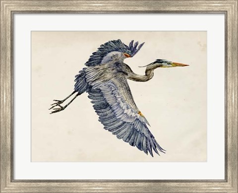 Framed Blue Heron Rendering IV Print