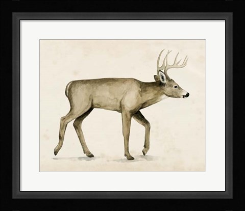 Framed Wandering IV Print