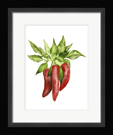 Framed Watercolor Veggie II Print