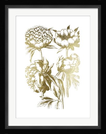 Framed Gold Foil Floral Chintz II Print