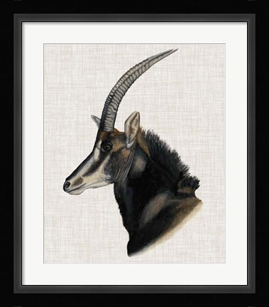 Framed Savanna Impressions III Print