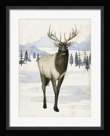 Framed Alaskan Wilderness II Print