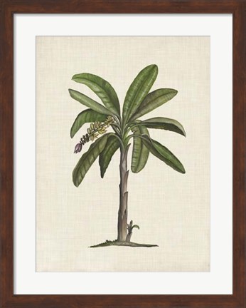 Framed British Palms II Print