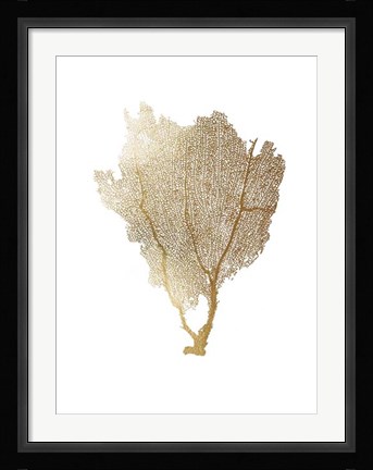 Framed Gold Foil Sea Fan I Print