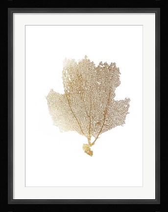 Framed Gold Foil Sea Fan II Print