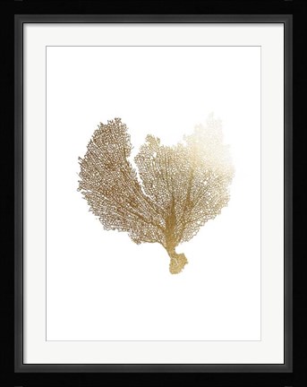 Framed Gold Foil Sea Fan III Print