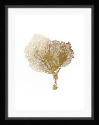 Framed Gold Foil Sea Fan IV Print