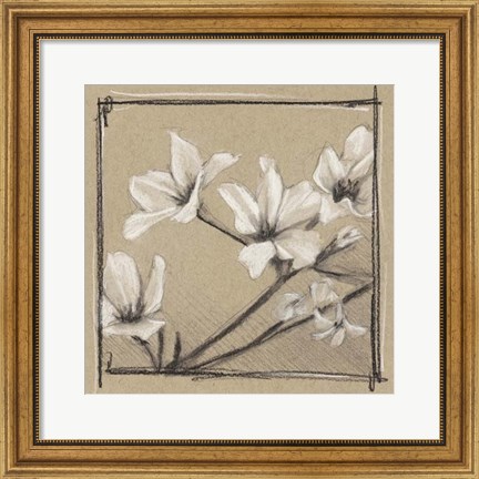 Framed White Floral Study I Print