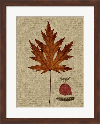 Framed Autumn Leaf I Print