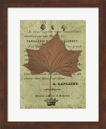 Framed Autumn Leaf II Print
