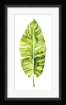 Framed Banana Leaf Study I Print