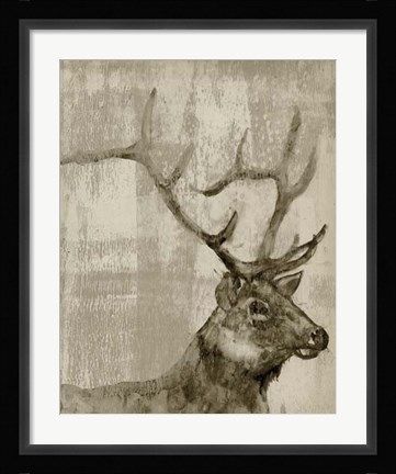 Framed Sepia Elk Print