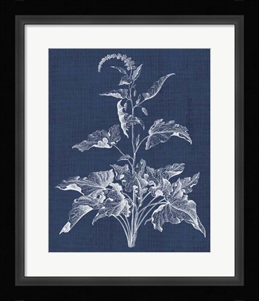 Framed Foliage Chintz II Print