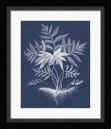 Framed Foliage Chintz IV Print