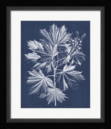 Framed Foliage Chintz V Print
