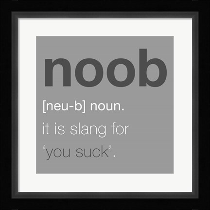 Framed Noob - Gray Print