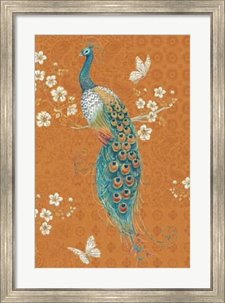 Framed Ornate Peacock X Spice Print