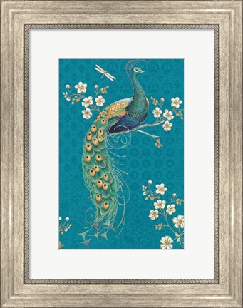 Framed Ornate Peacock IXE Print