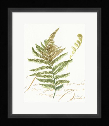 Framed My Greenhouse Fern II Print