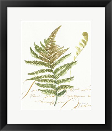 Framed My Greenhouse Fern II Print
