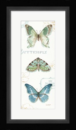 Framed My Greenhouse Butterflies VI Print