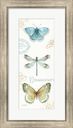 Framed My Greenhouse Butterflies V Print