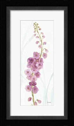 Framed Rainbow Seeds Flowers VII Print