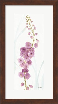 Framed Rainbow Seeds Flowers VII Print
